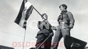 Dan pobede i Dan Evrope